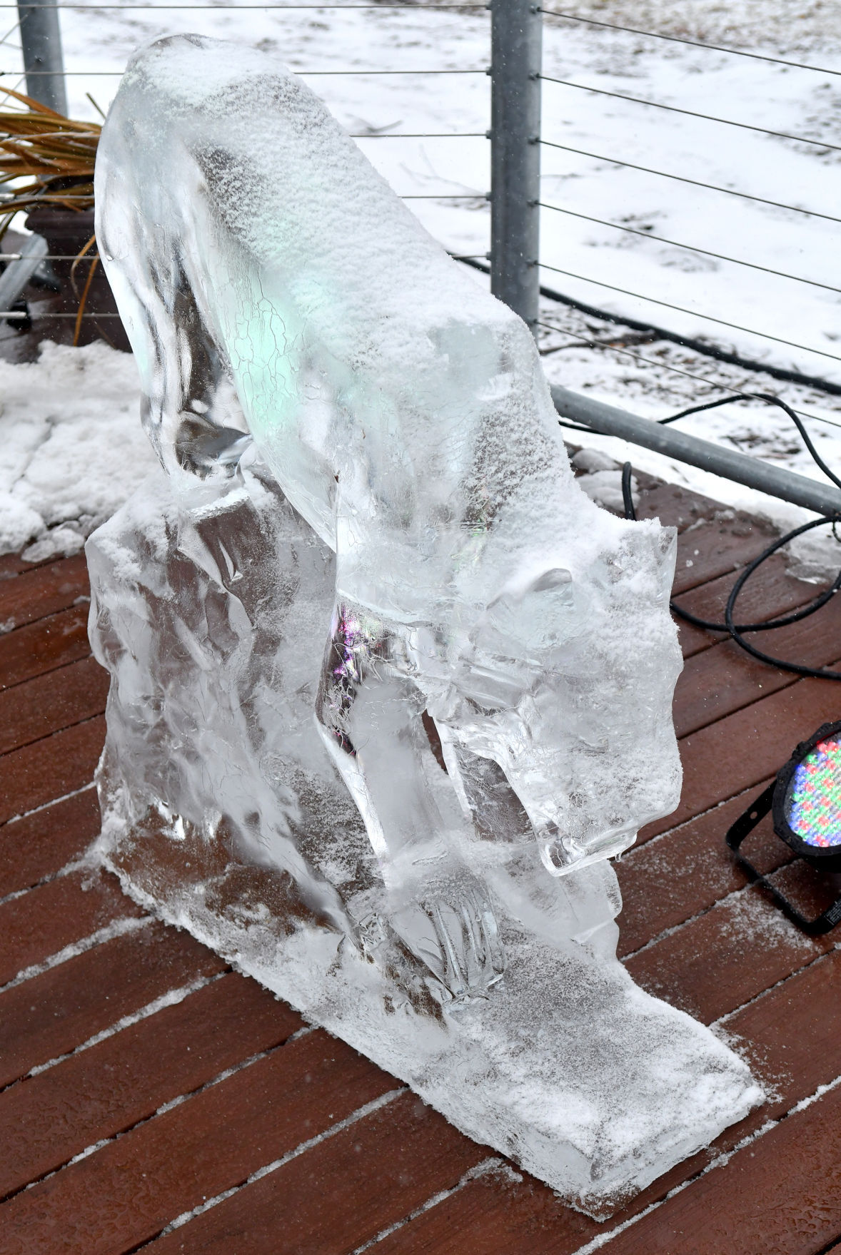 011422-qc-nws-icestravaganza-128